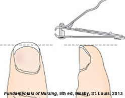 how to clip nails