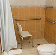 a picture of a bathroom with grab bars and a shower seat