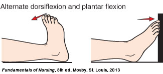  rotating the ankle and stretching and extending the foot